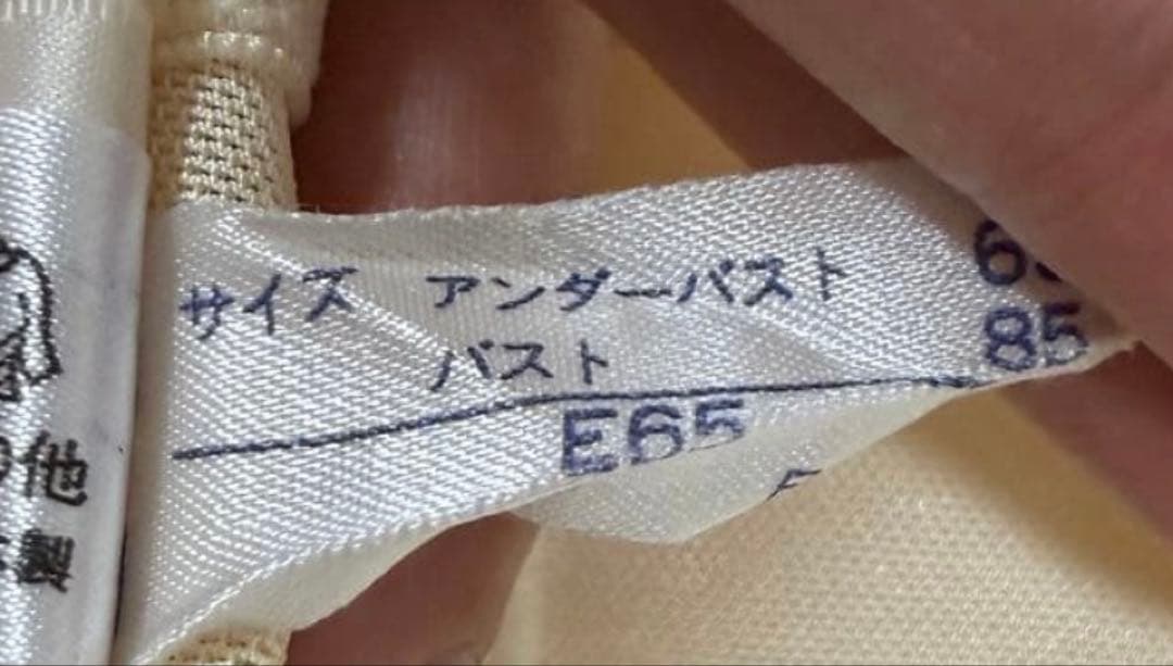 ブライダルインナーセット　フォーシスアンドカンパニー