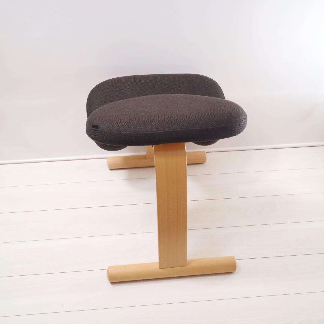 バランスイージー バランスチェア 通常フレーム 背筋矯正