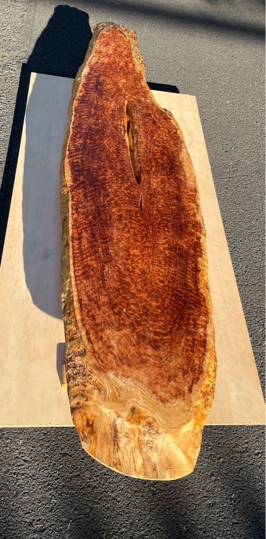 [たのメル便] 天杉　漣杢(さざなみもく) ローテーブル　無垢材　新品未使用