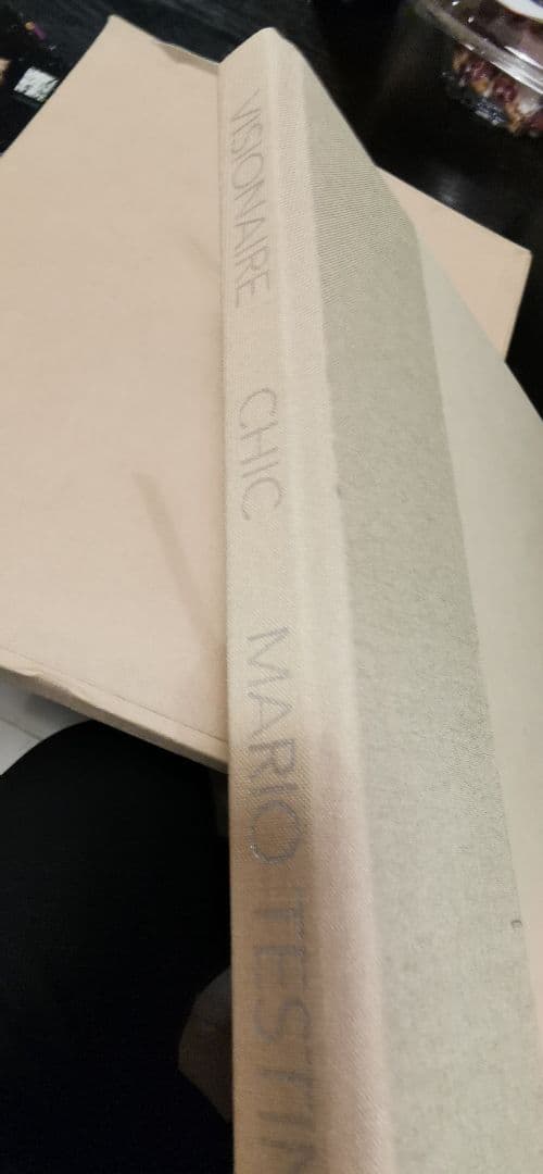 アート・デザイン・音楽 VISIONAIRE CHIC MARIO TESTINO 22