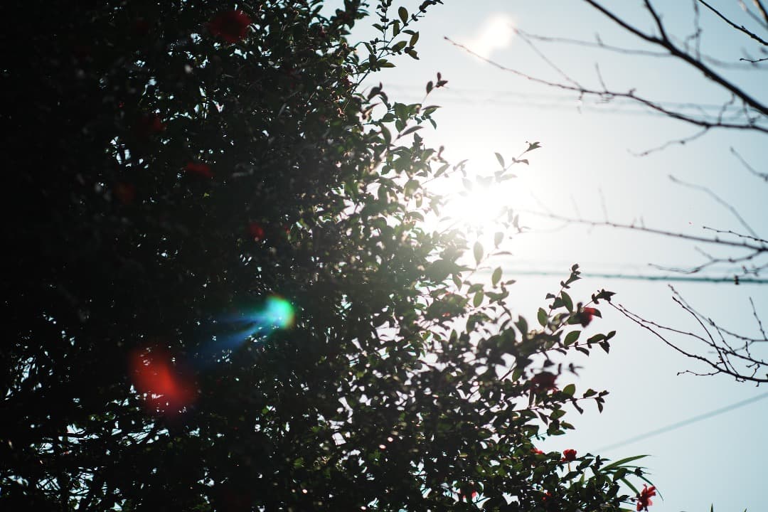 【整備＆テスト済】Nikon New Nikkor 105mm F2.5 433