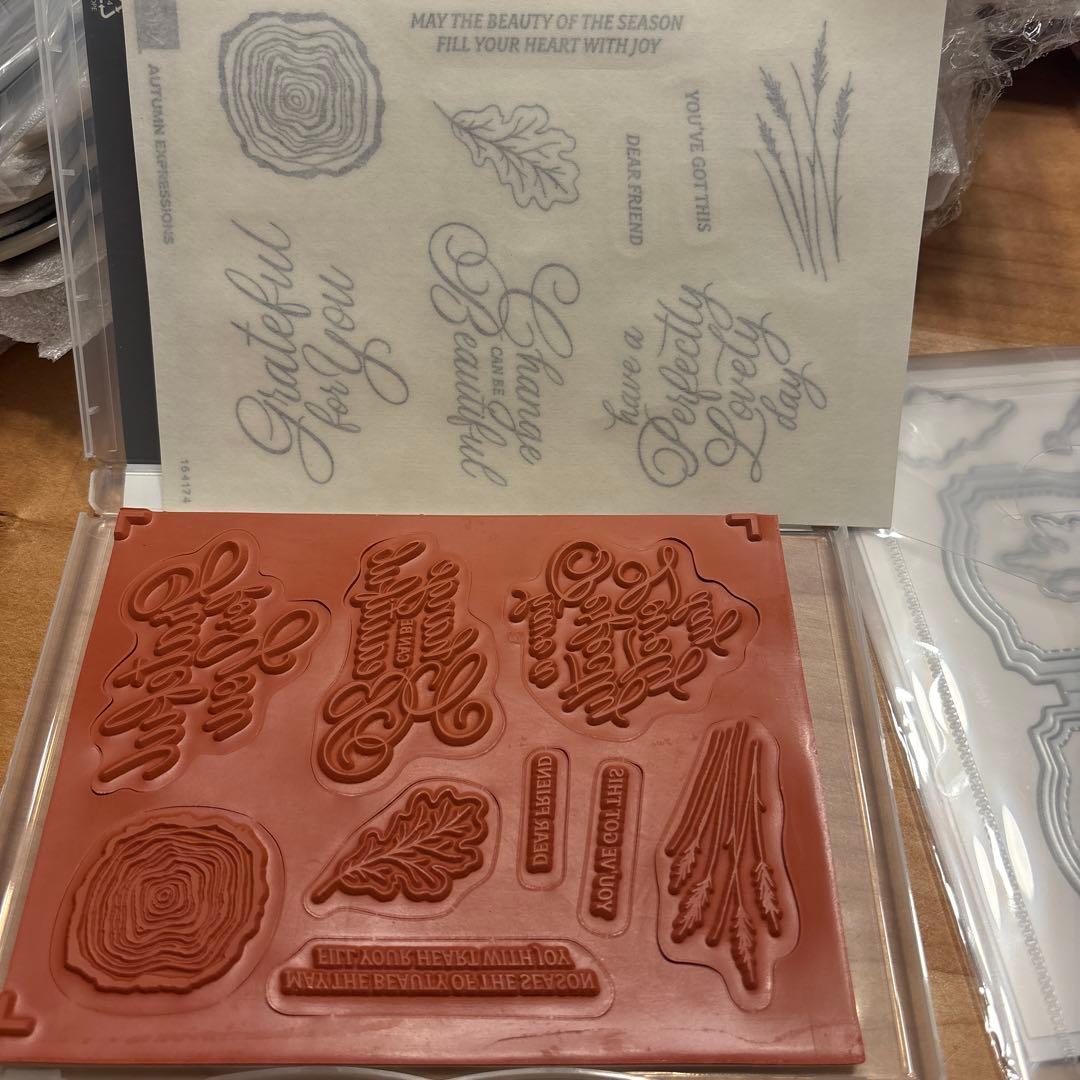 未使用♡スタンピンアップ