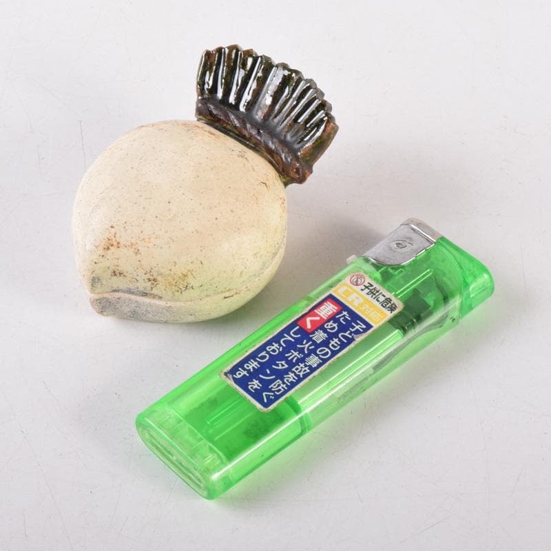 茶道具　白倉窯　伊村彰介作　蕪形　香合　共布共箱　V　8128