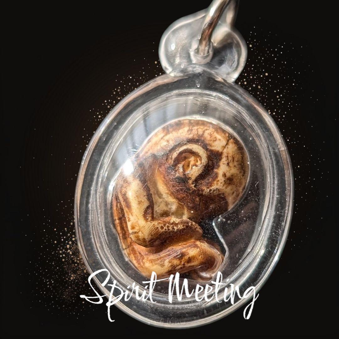 民間伝承魔術　古い骨のクマーントーンB　レア　幸運　金運