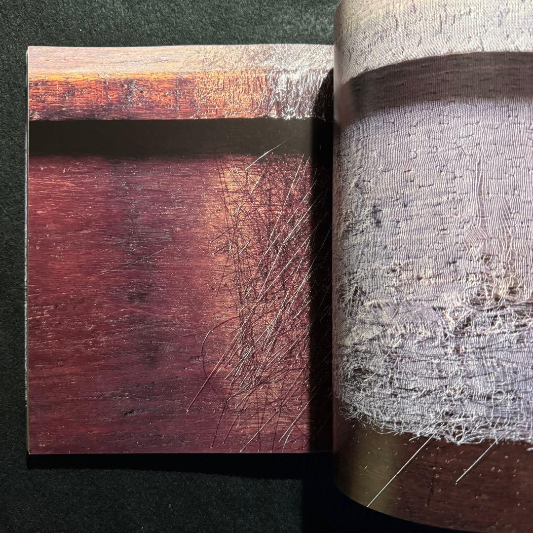 Doris Salcedo ドリス サルセド Contemporary 作品集