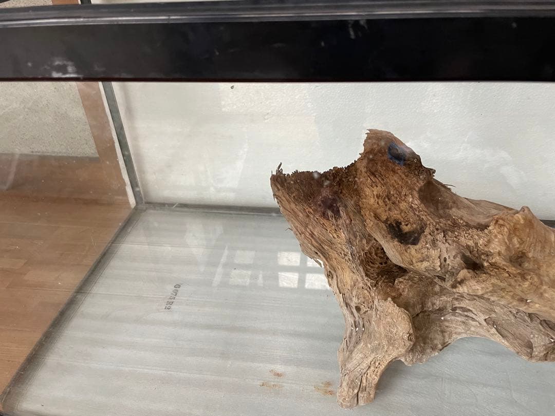 大型　☆アクアリウム　生花　テラリウム 爬虫類　天然流木 ホーンウッド　⭐︎