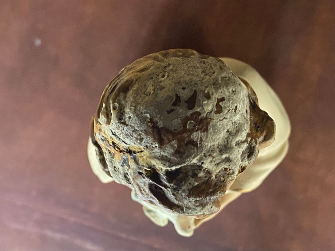 希少 白鳩を抱く幼子イエス少年 キリスト像 置物 インテリア アンティーク