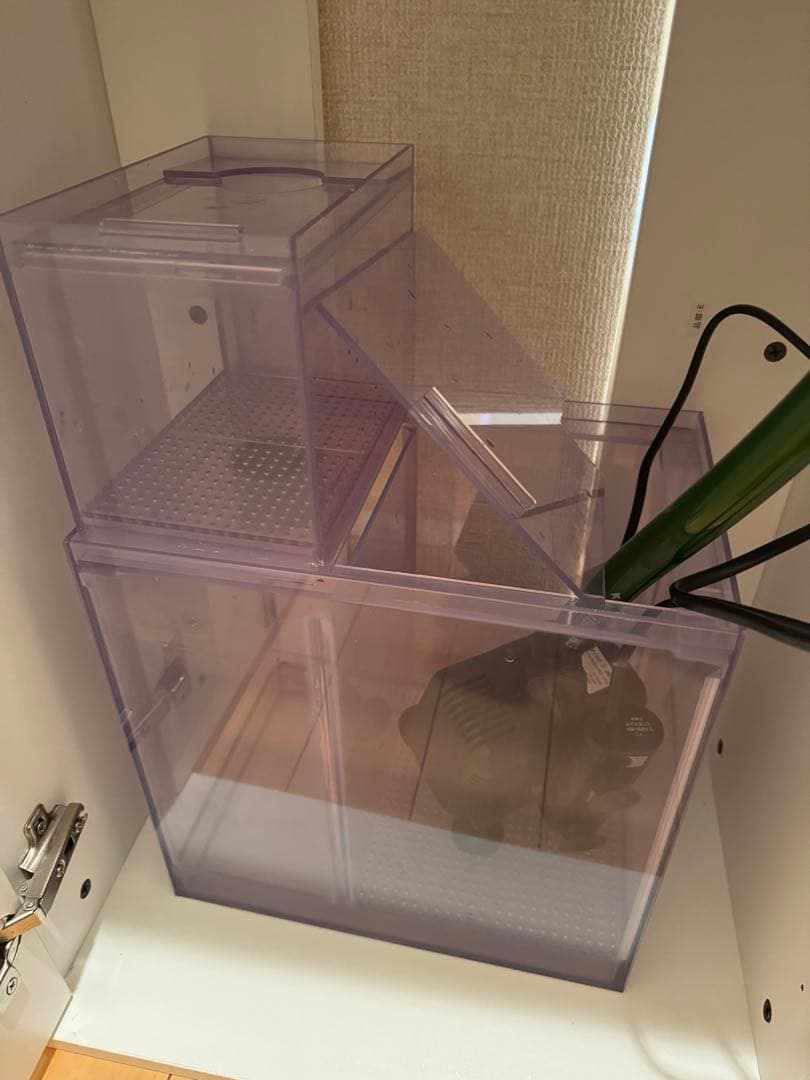 【引き取り限定】45cmオーバーフロー水槽 60Hz