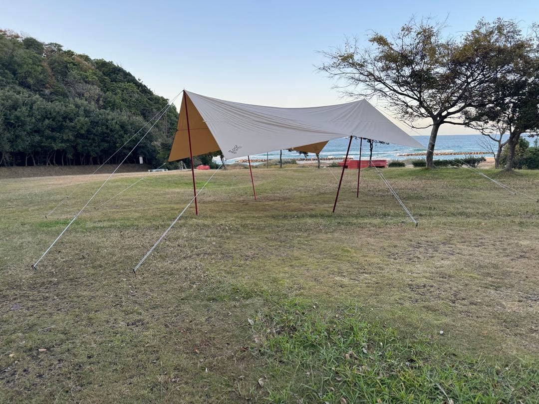 【DoD】チーズタープM