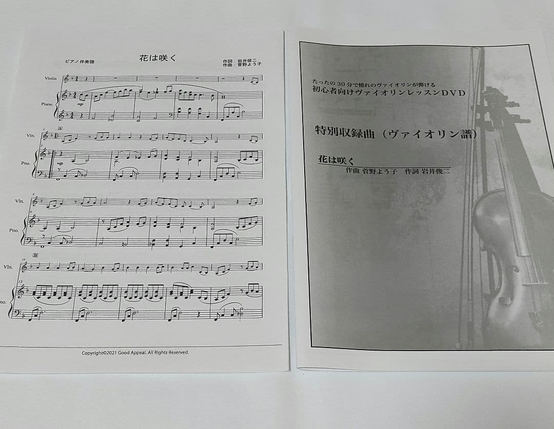 初心者向けバイオリンレッスン DVD