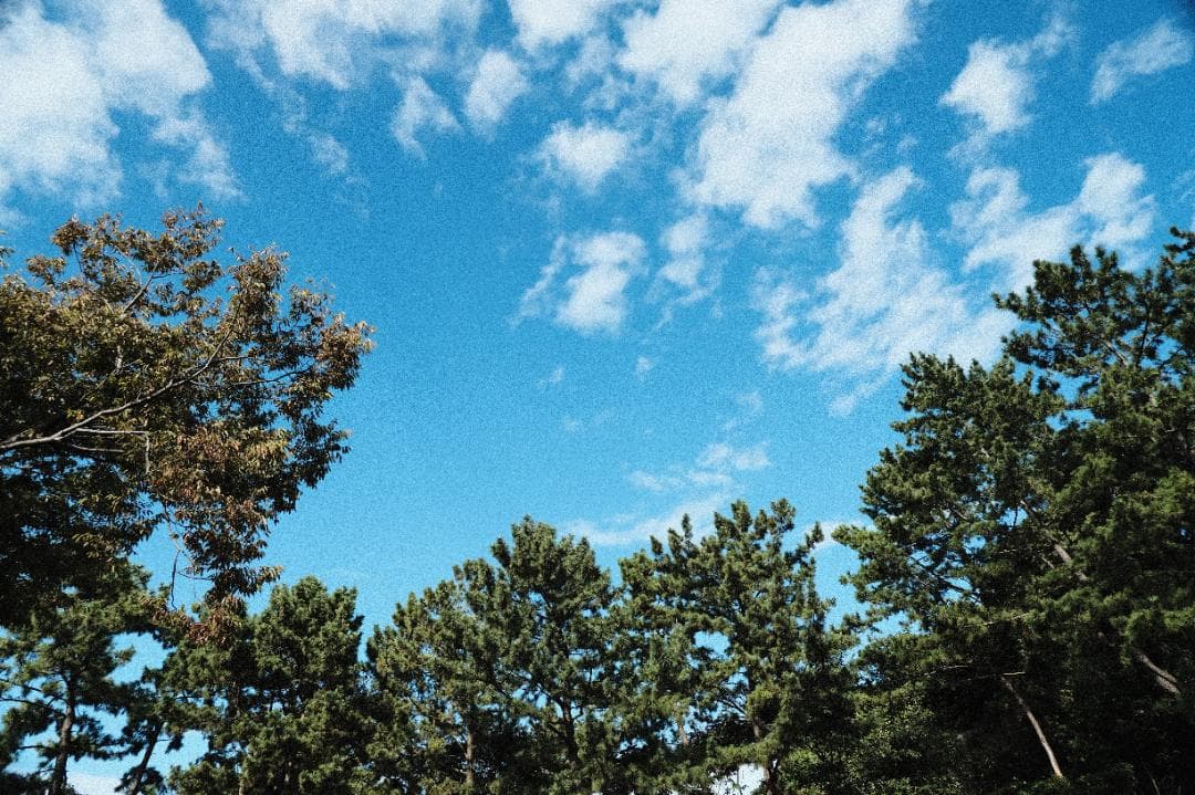 FUJIFILM XE3＋ズームレンズ＋マニュアルレンズ３本おまけ付き