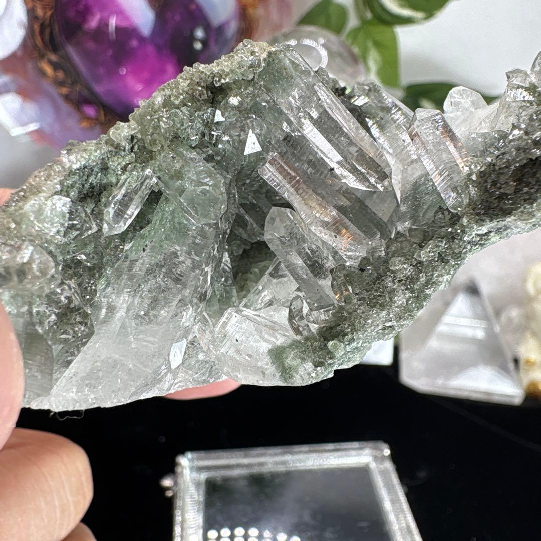 レア♡ヒマラヤ水晶クラスター♡ガーデン共生♡No.1735