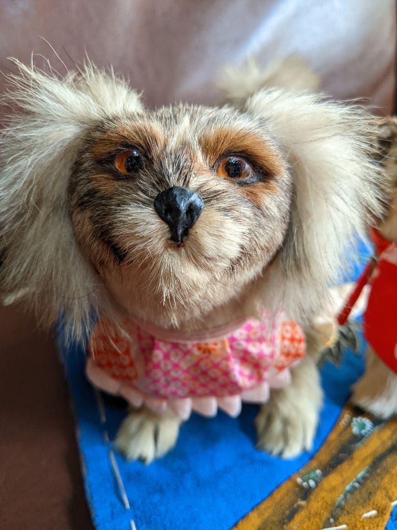 アンティーク・骨董　古い毛植え人形　朕・猫セット　検)市松人形・雛人形