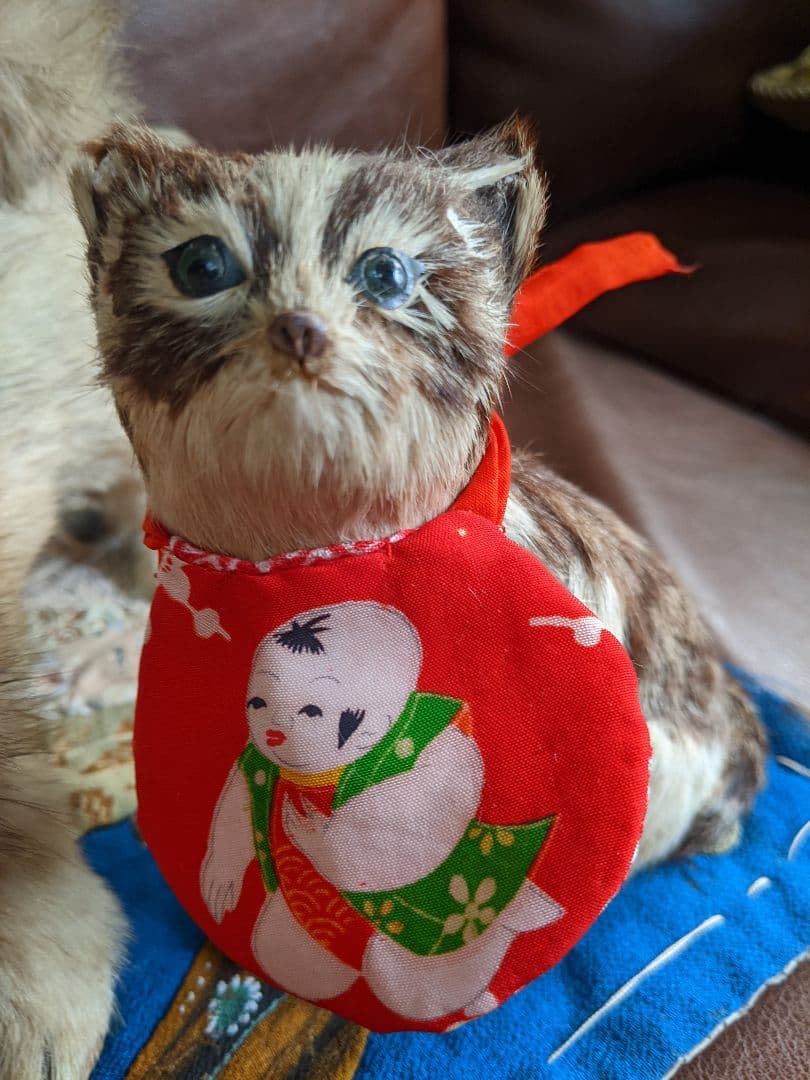 アンティーク・骨董　古い毛植え人形　朕・猫セット　検)市松人形・雛人形