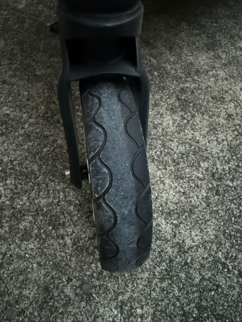 ちわぽめ　ピッコロカーネ　クレア