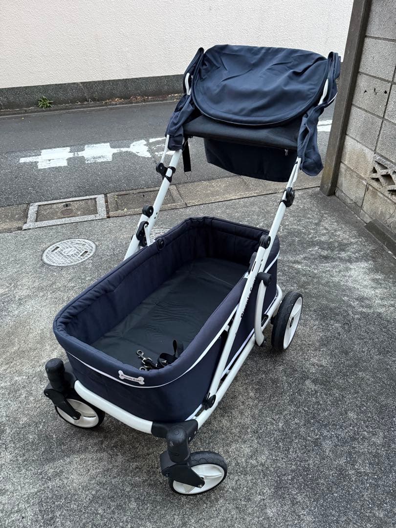 ちわぽめ　ピッコロカーネ　クレア