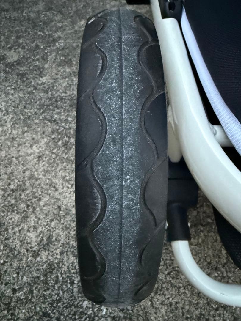 ちわぽめ　ピッコロカーネ　クレア