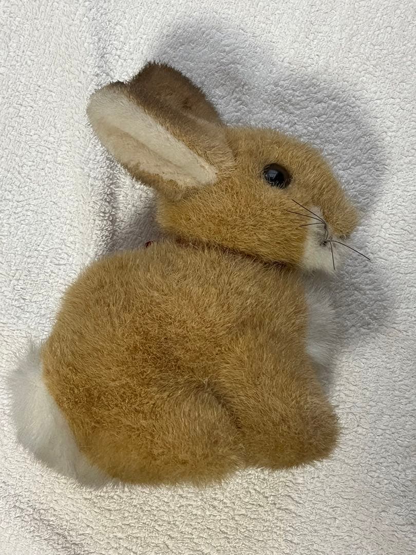 美品レア　シュタイフ　うさぎ　ぬいぐるみ　Steiff コレクション　タグ付き