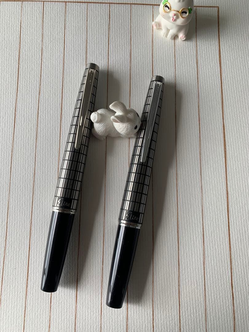 Pilot eliteパイロットエリート 蝕刻キャップ 18K万年筆 2本セット