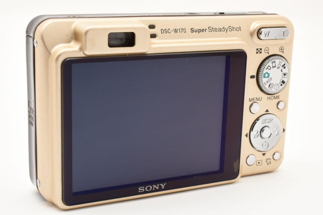 ■ 美品 ■ ソニー SONY サイバーショット DSC-W170　ケース付