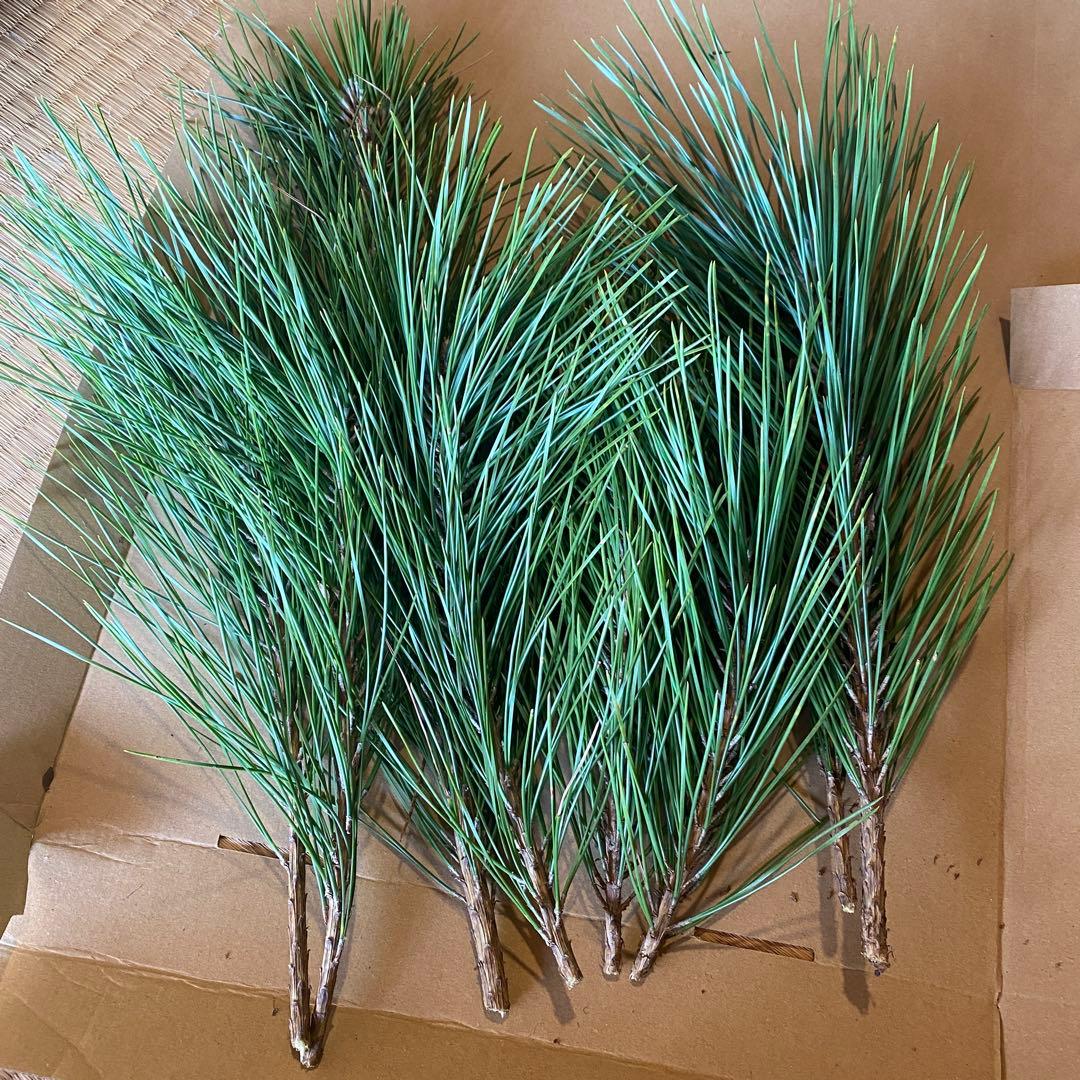 松　みかん箱3箱ぱんぱんに詰めます　30cm前後目安　しめ縄　門松