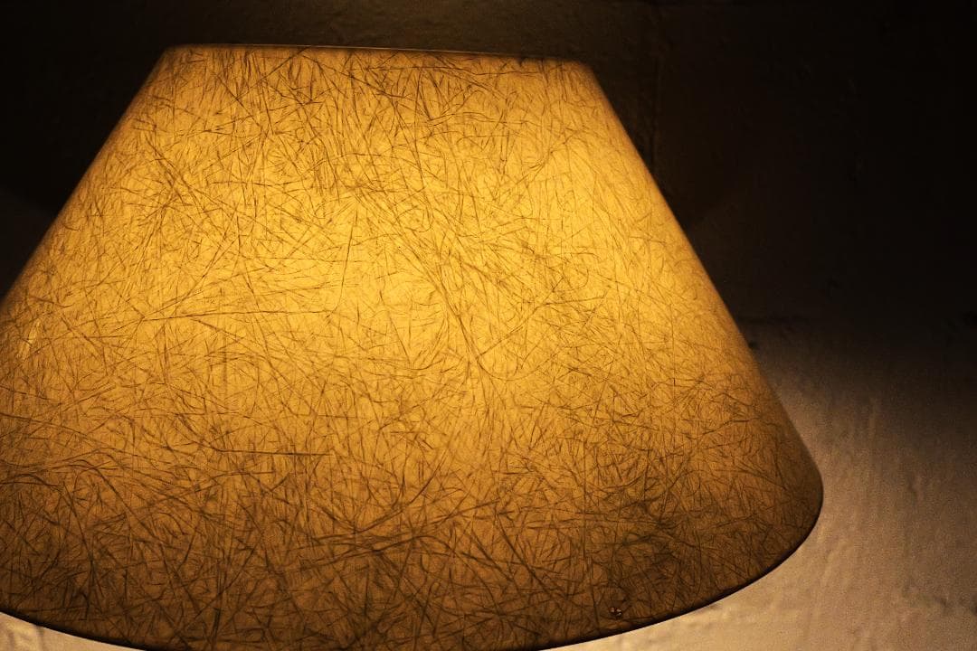 50ｓ Wood ＆ Fiberglass lamp