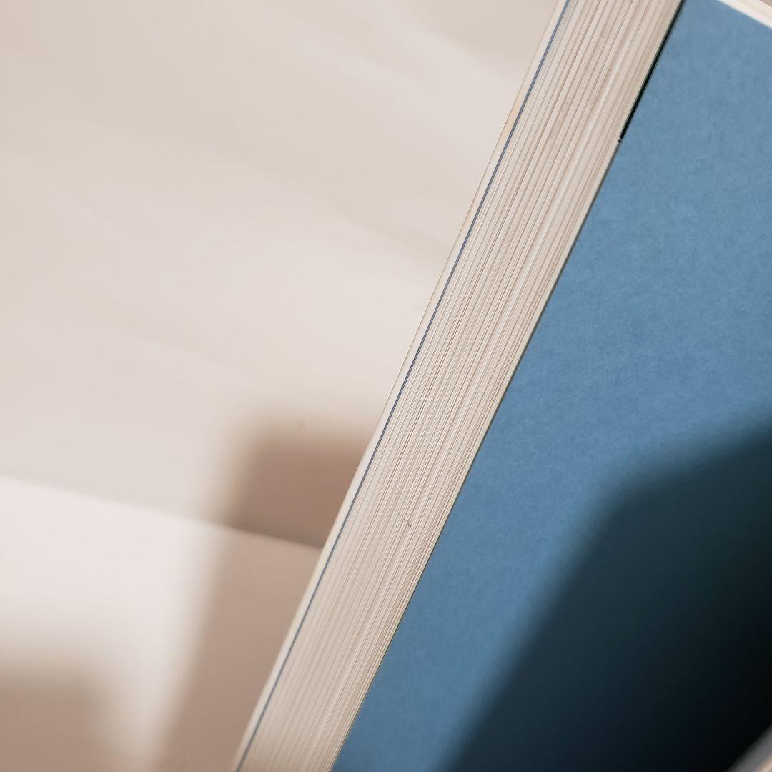 【一部マーカーあり・美品】呼吸器外科手術 肺