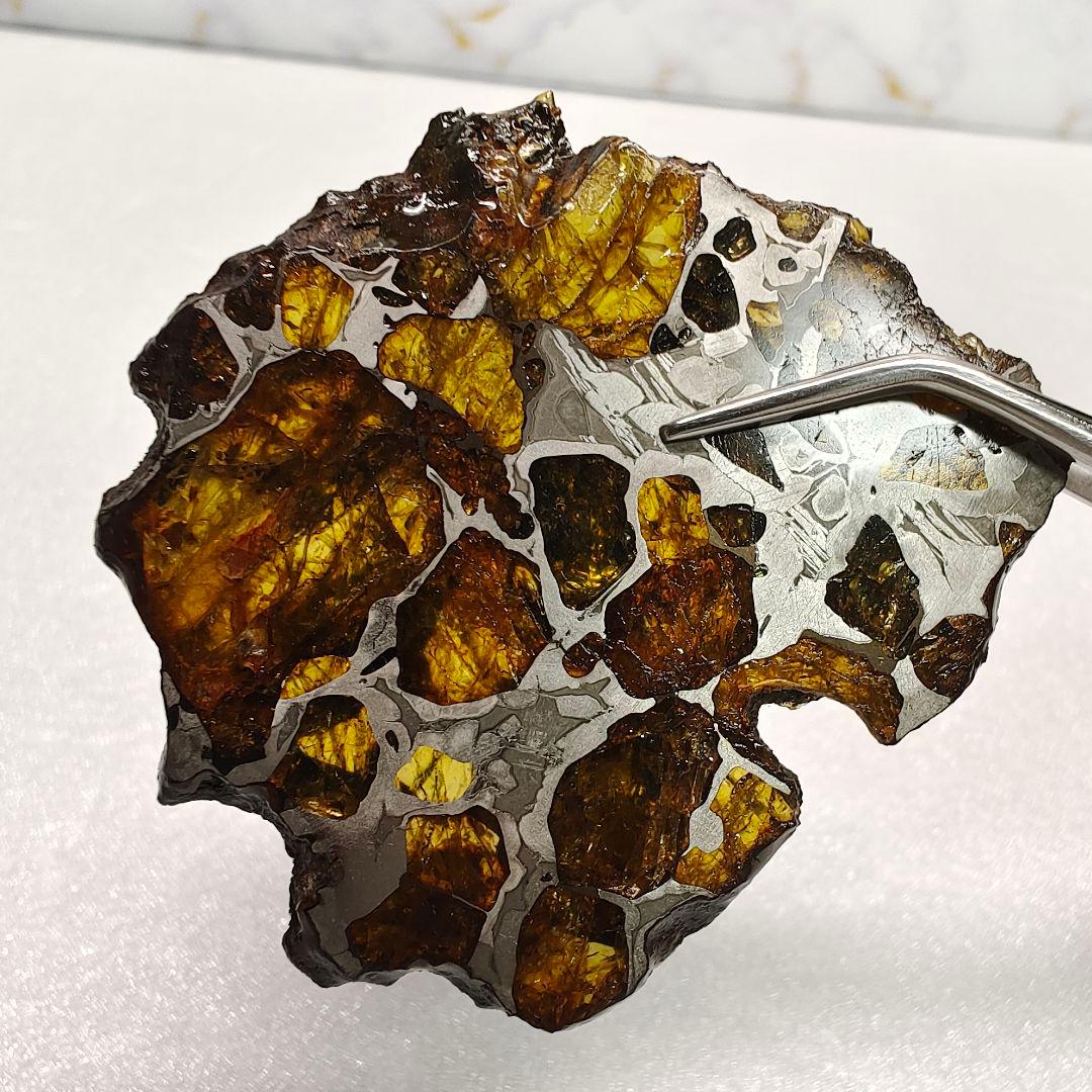 【パラサイト隕石】イミラック隕石20g ケース&ネームカード付き NO.409