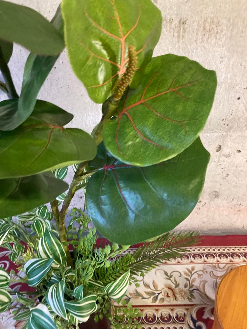 光触媒　人工観葉植物　ウォールグリーン　フェイクグリーン　pシーグレープトラカン