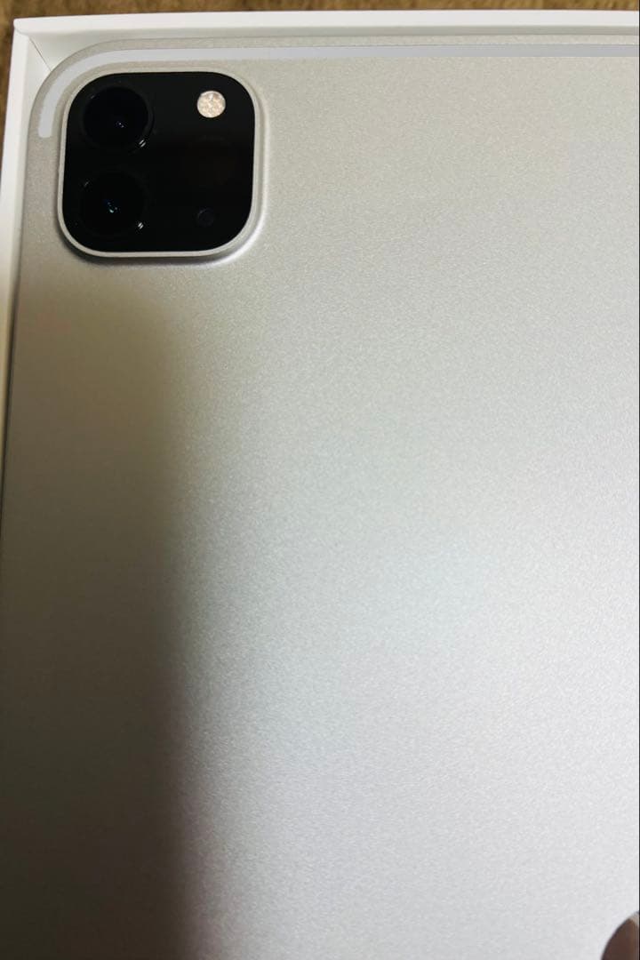 Apple iPad Pro 11インチ 第二世代　128GB フィルム付き