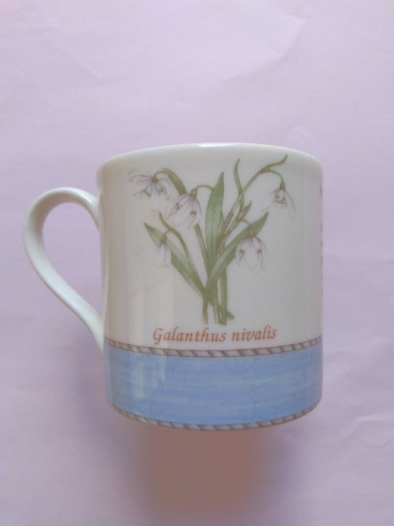 【新品】値下２点ウェッジウッド稀少★スノードロップ★デザート皿