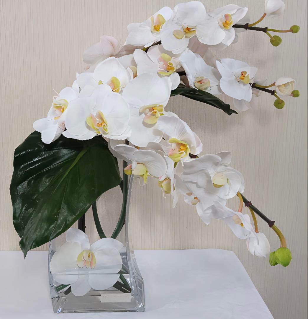 光触媒　観葉植物　フェイクグリーン　エミリオロバ　ファレノプシス4L 胡蝶蘭