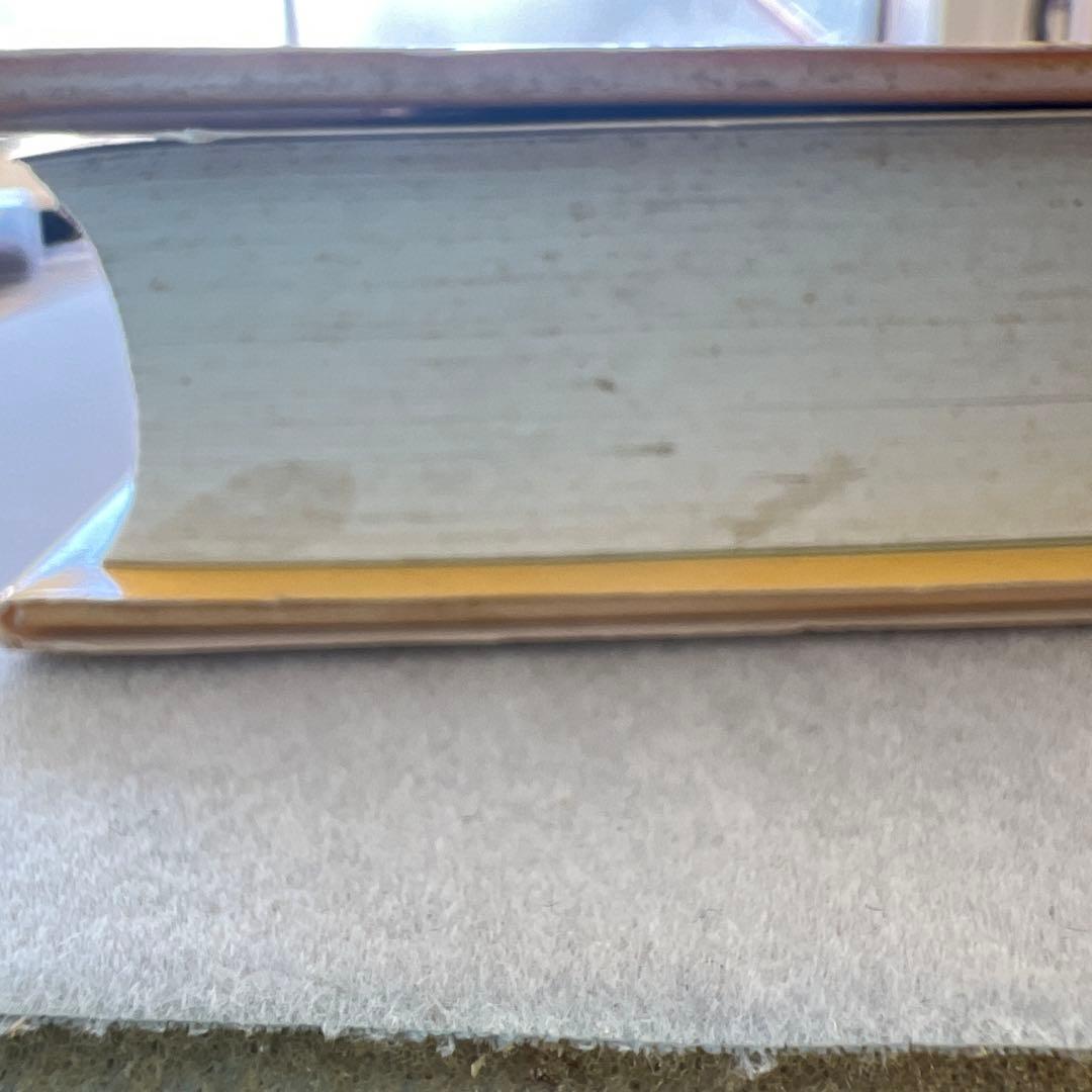 もどってきたアミ エンリケ・バリオス著