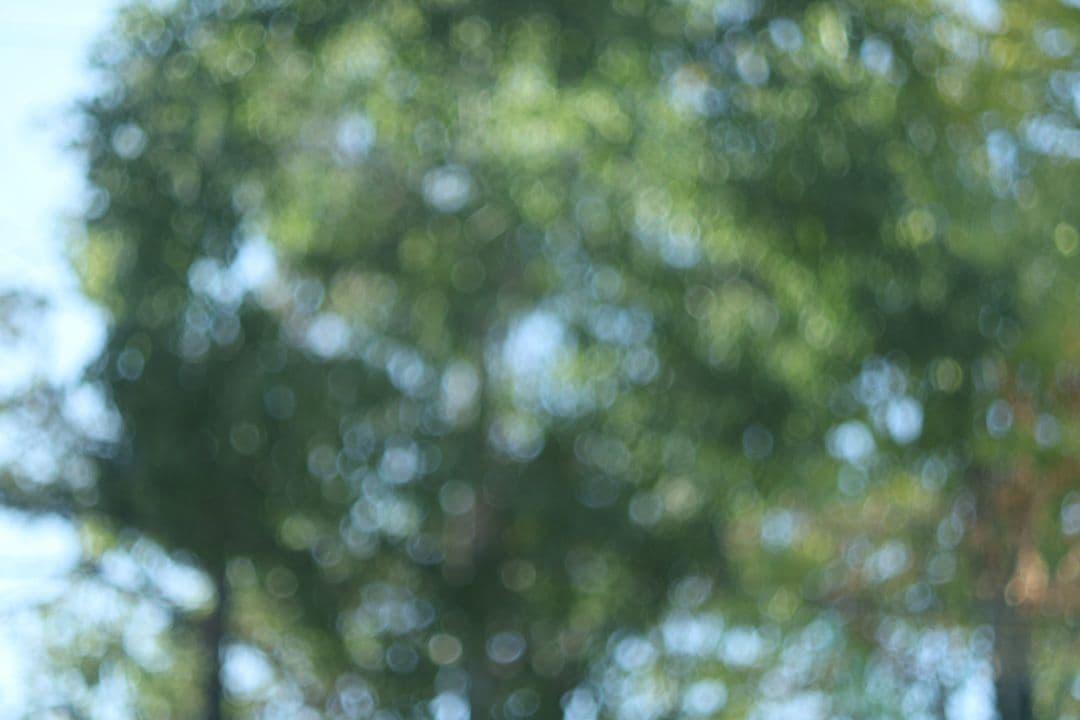 O*t様 FUJI EBC FUJINON 50mm f1.4