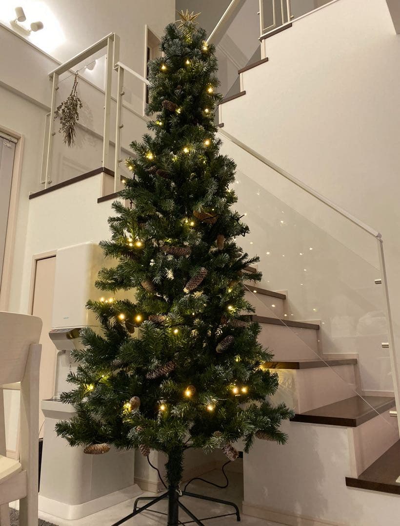 クリスマスツリー 北欧 おしゃれ ドイツトウヒツリー240cm ヌードツリー