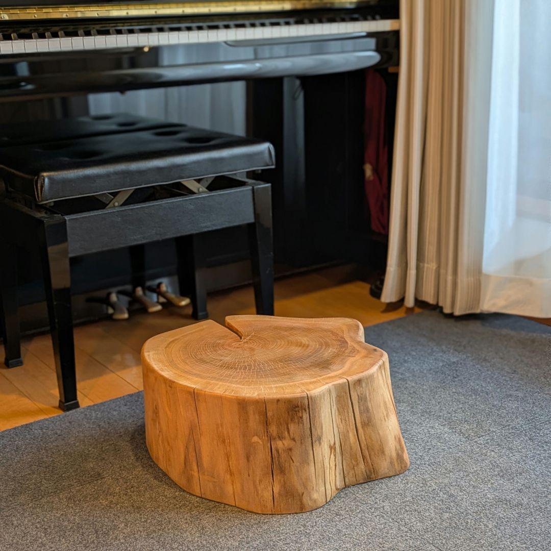 山桜　天然木　切り株　輪切り　高さ約19.5㎝