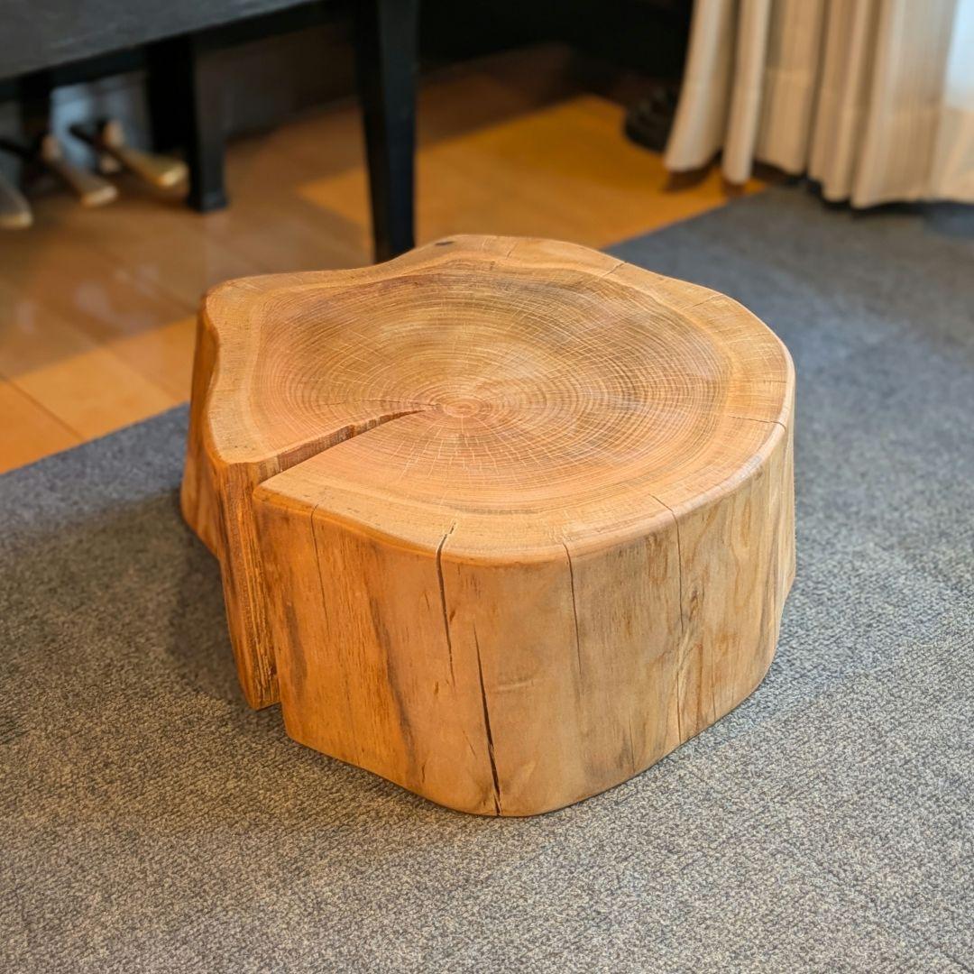 山桜　天然木　切り株　輪切り　高さ約19.5㎝