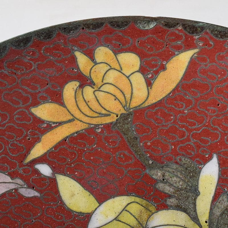 中国　古七宝琺瑯彩　花蝶文盤　皿　V　R8772