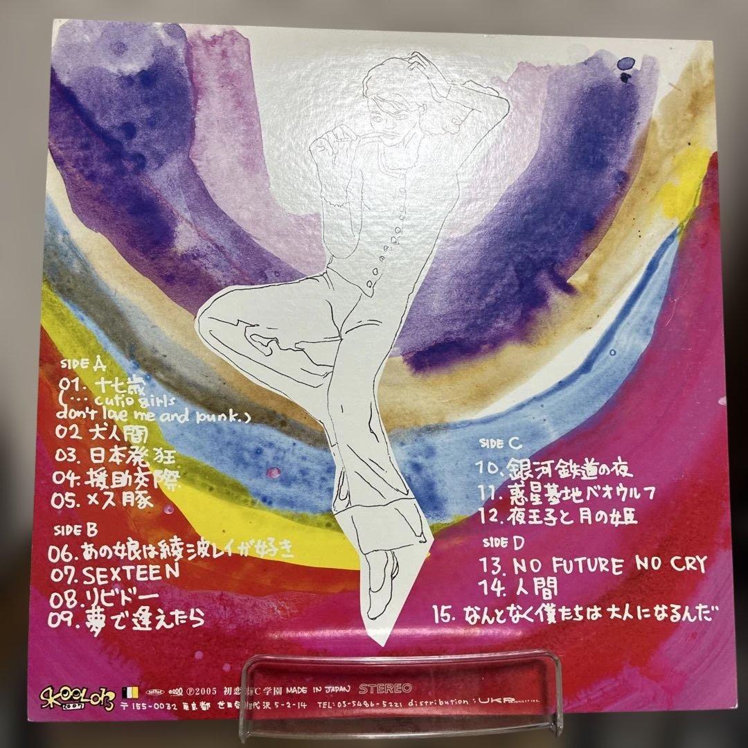 銀杏BOYZ door ドアー　レコード　lp オリジナル