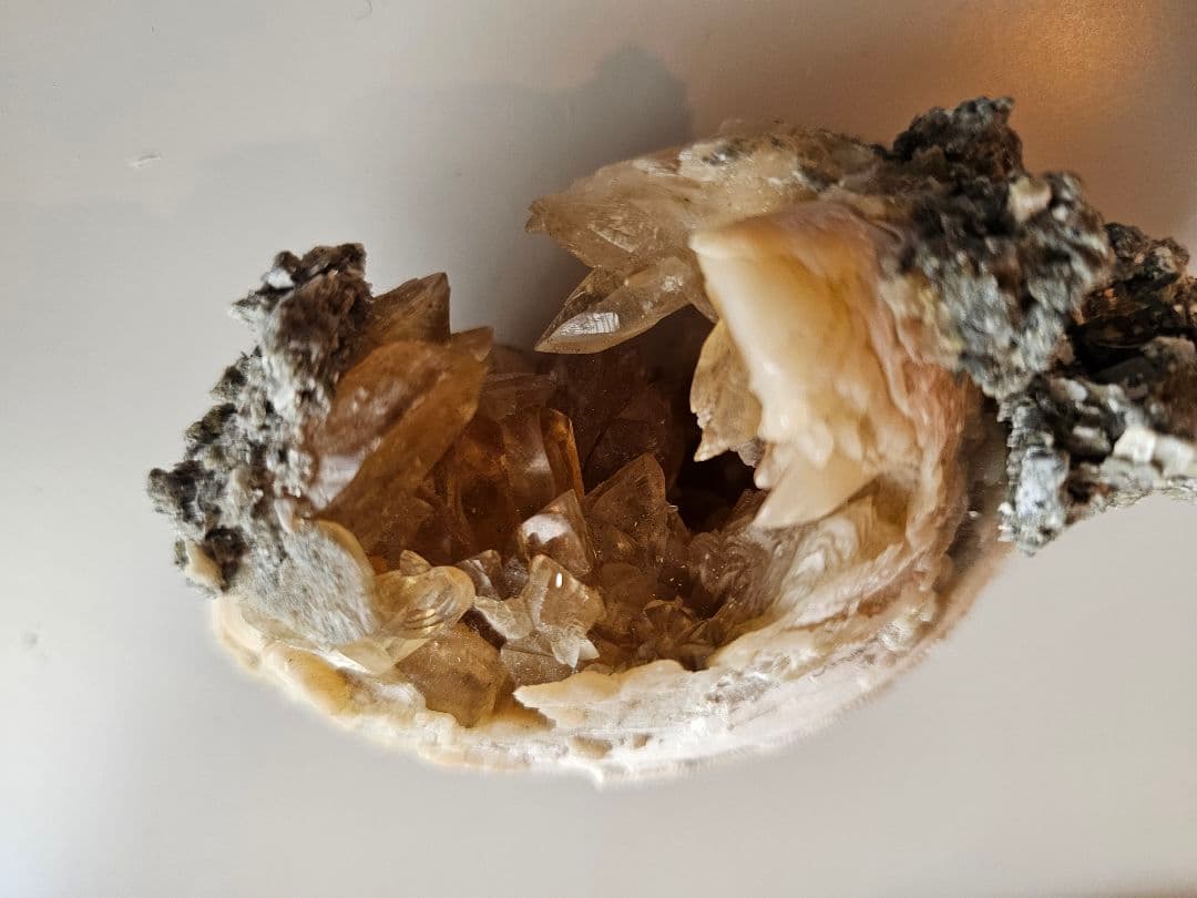 天然石 結晶 貝 化石 クラスター原石 置物 ミネラルマルシェ 巨大 鉱物 標本