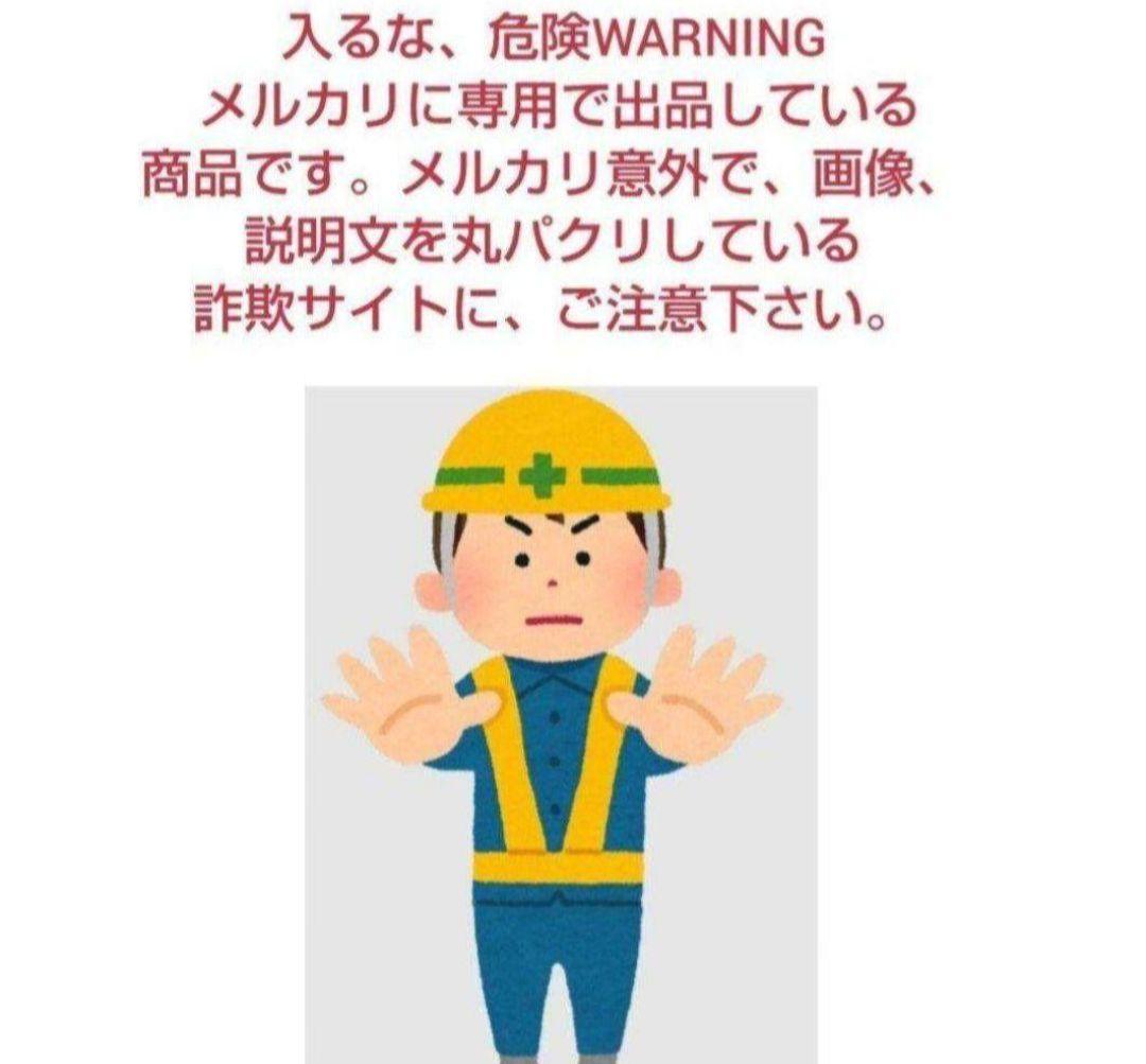 消えたマンガ家 鴨川つばめ＋オマケ