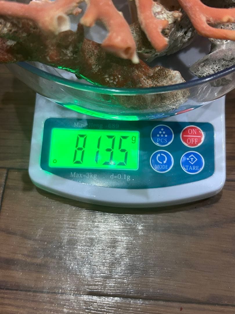 赤珊瑚桃珊瑚原木