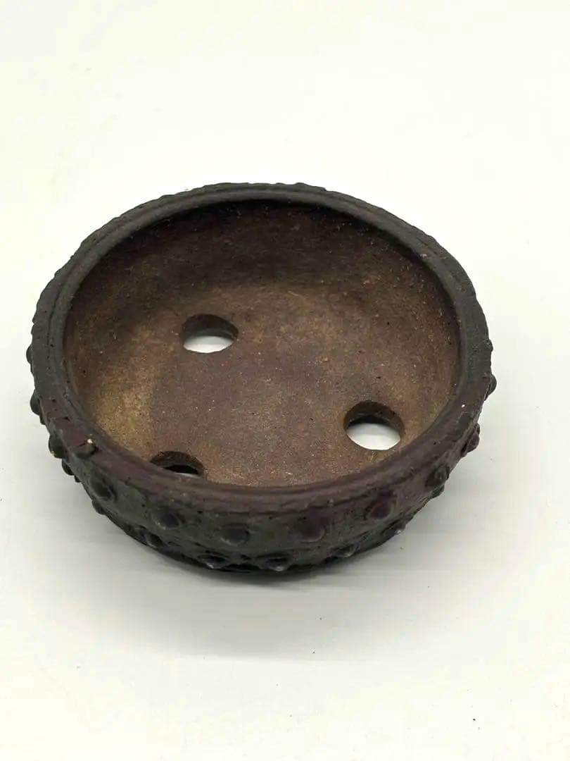 陶器製盆栽鉢 十王堂　松 泉 作