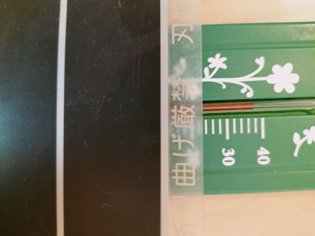 爬虫類ゲージセット