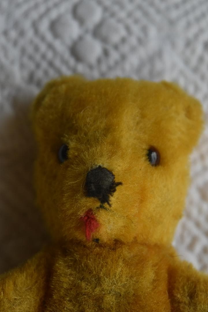 akiさま専用　small teddy bear 　小さなテディベア