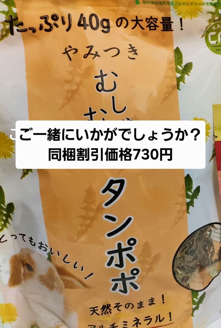 【専用】チンチラセレクションプロ600g ×10袋デグーセレクションプロ10袋