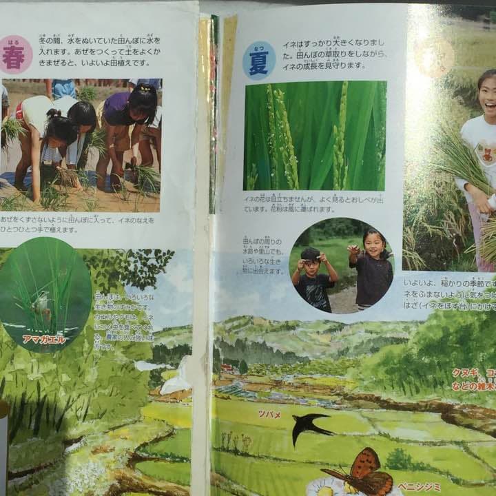 図鑑セット   小学館NEO  ７冊