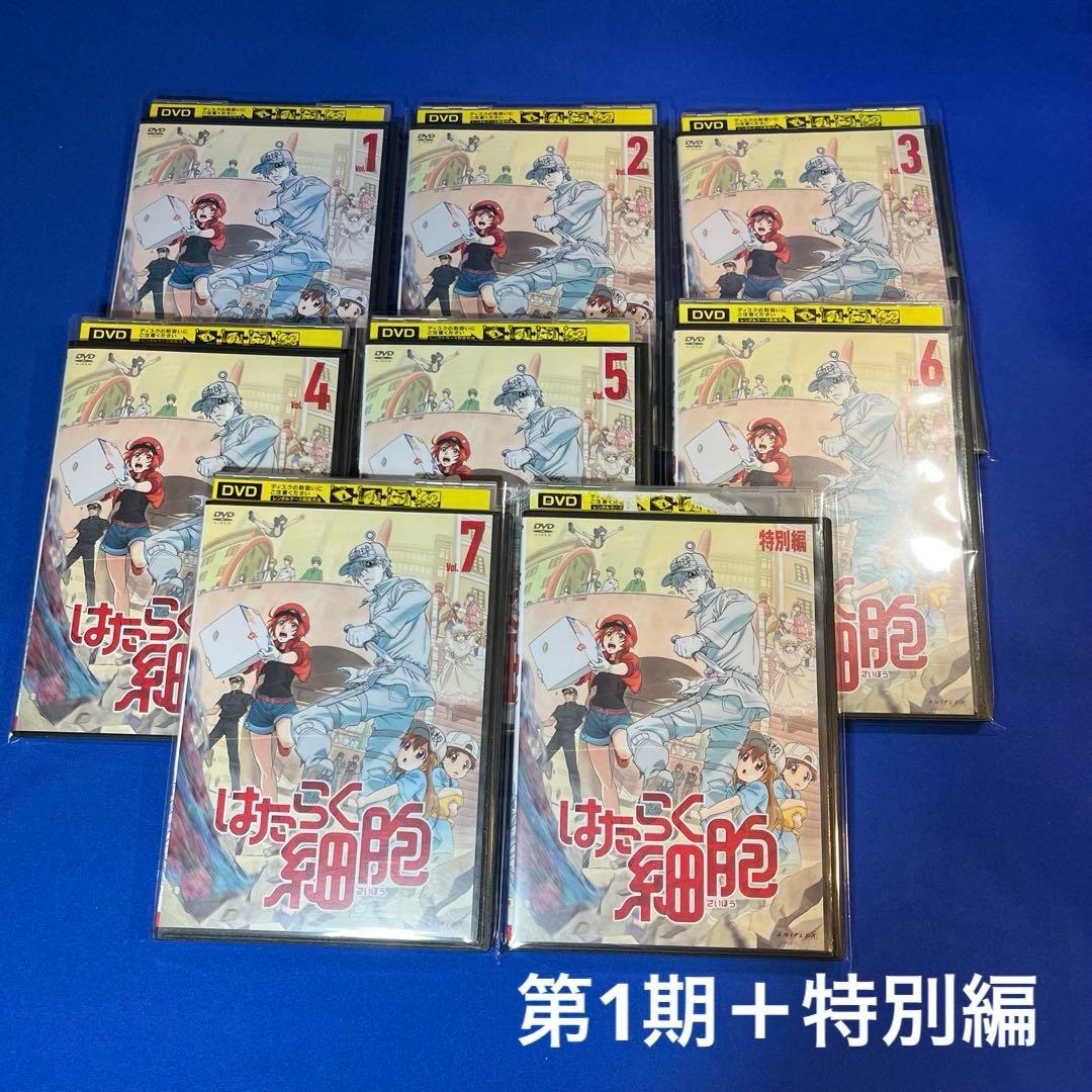 はたらく細胞【DVD】全巻完結　19枚【レンタルアップ】