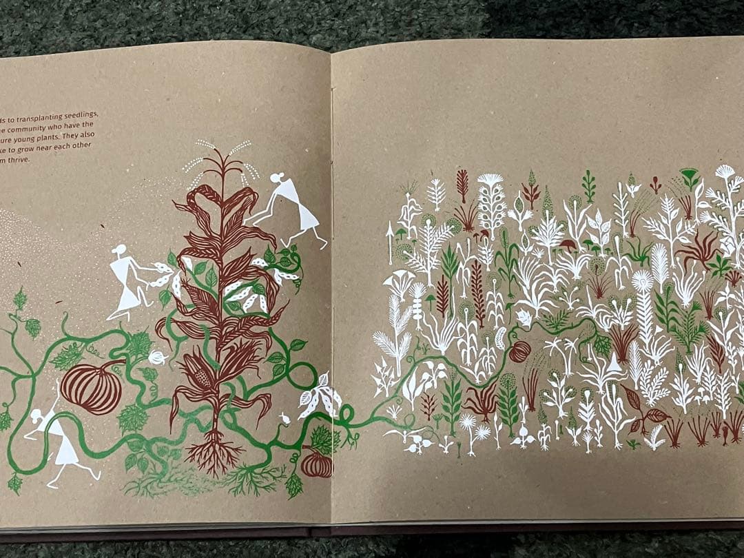 「SEED 」Gita Wolf他著Tarabooks インド限定品　日本未販売