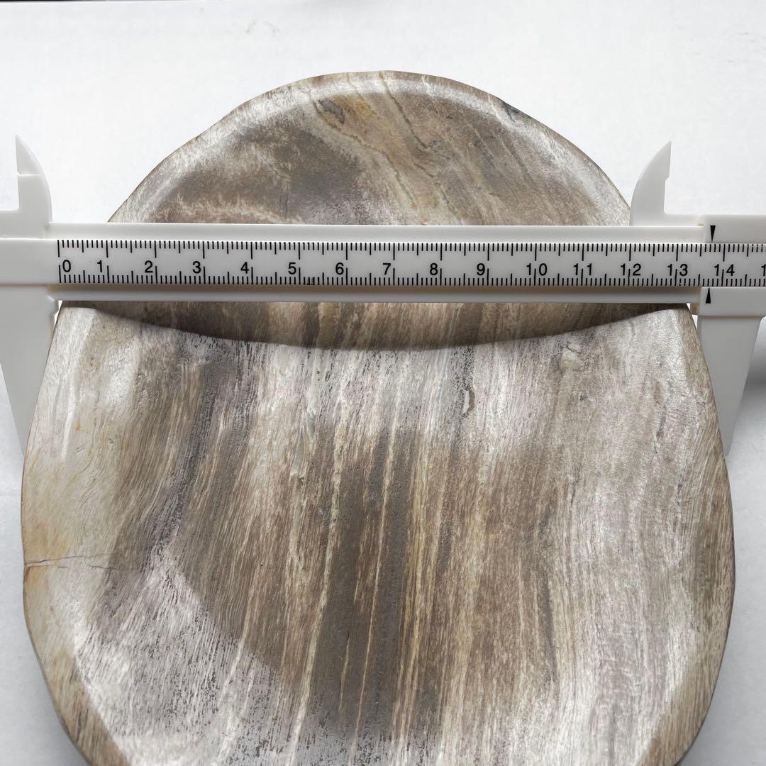 珪化木 ペトリファイドウッド